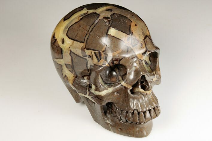 Polished Septarian Skull - Madagascar #199605